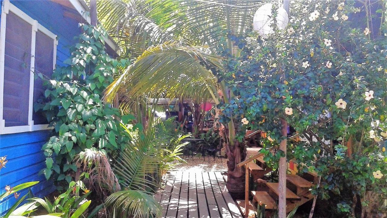 The Funky Dodo Backpackers Hostel Hopkins Luaran gambar