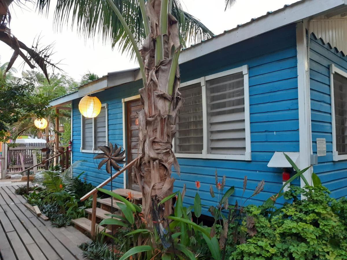 The Funky Dodo Backpackers Hostel Hopkins Luaran gambar