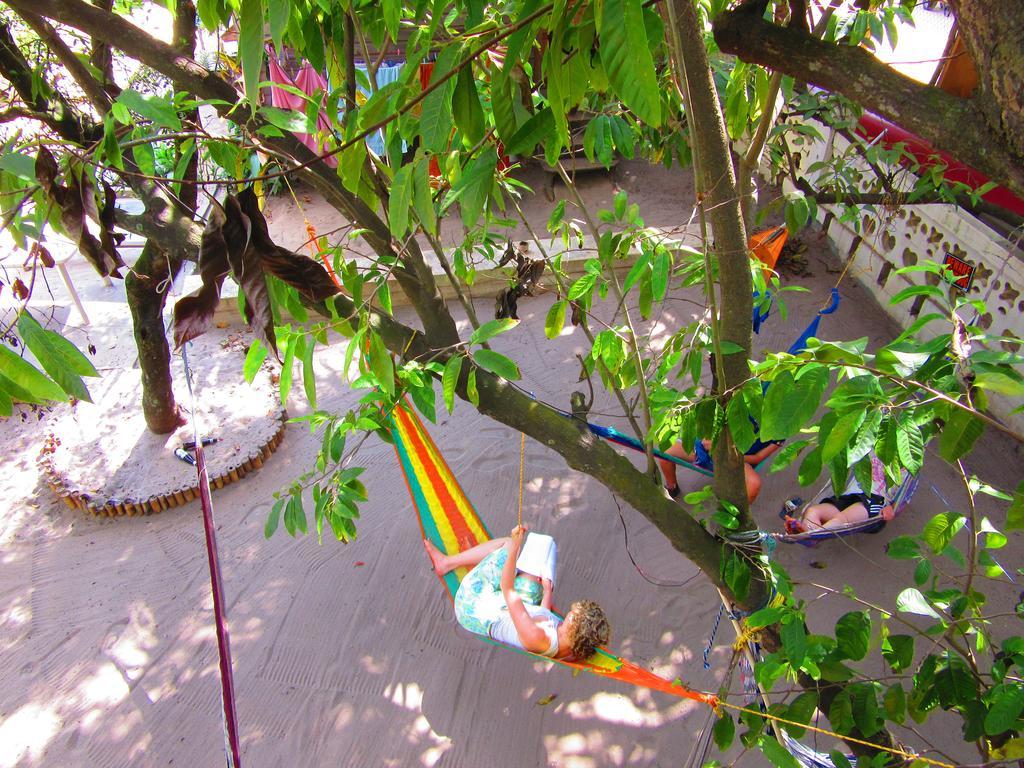 The Funky Dodo Backpackers Hostel Hopkins Luaran gambar