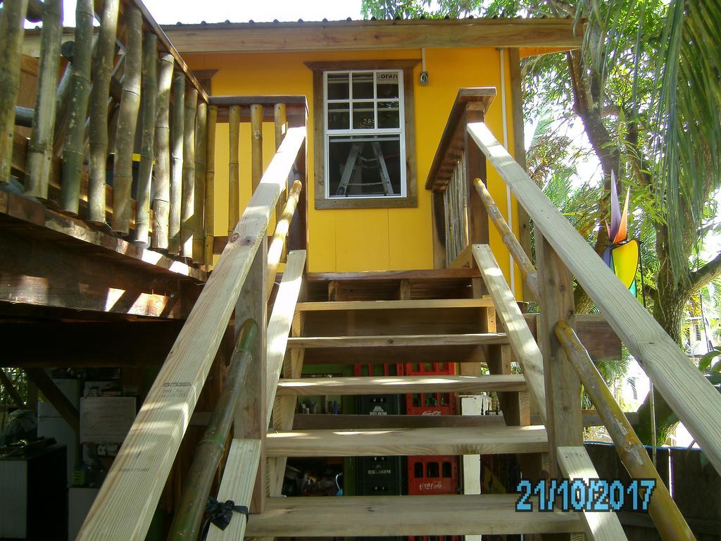 The Funky Dodo Backpackers Hostel Hopkins Luaran gambar