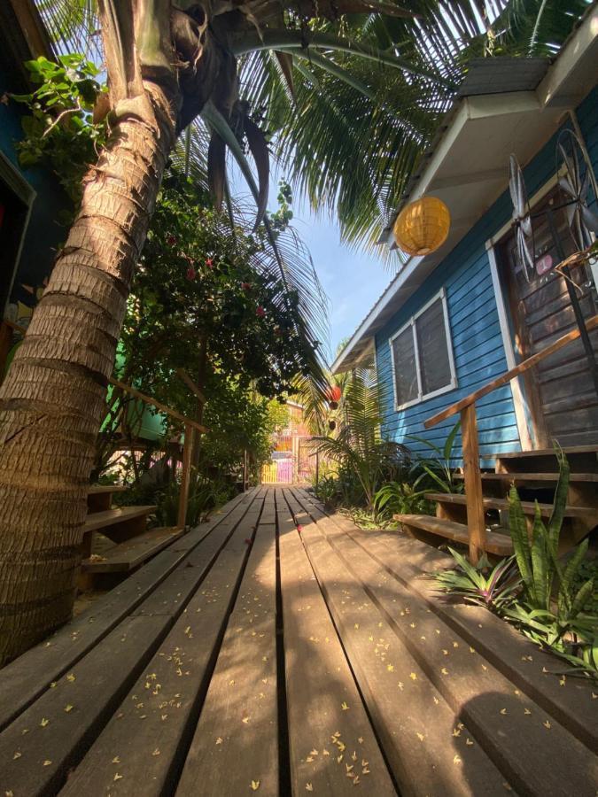 The Funky Dodo Backpackers Hostel Hopkins Luaran gambar