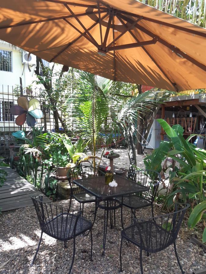 The Funky Dodo Backpackers Hostel Hopkins Luaran gambar