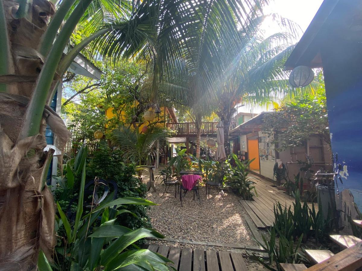 The Funky Dodo Backpackers Hostel Hopkins Luaran gambar