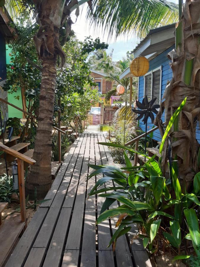 The Funky Dodo Backpackers Hostel Hopkins Luaran gambar
