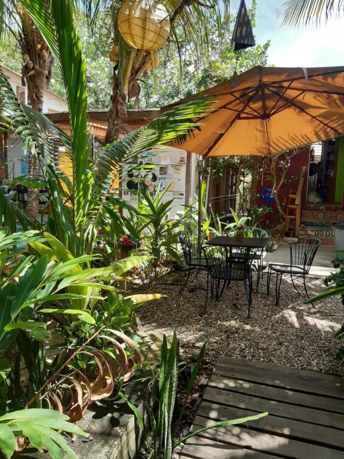 The Funky Dodo Backpackers Hostel Hopkins Luaran gambar